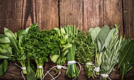 Cooking with Fresh Herbs: Flavor Boosting Techniques
